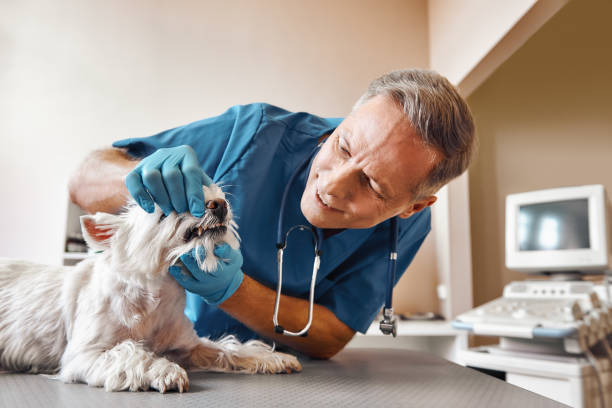 Best Emergency Broken Tooth Repair in Eureka, CA